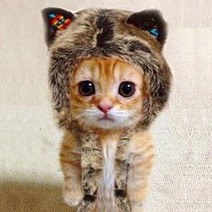 Meet your Posher, Juliana